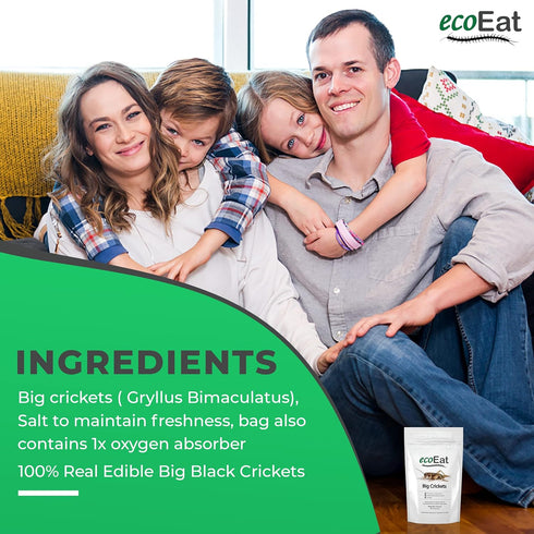 Edible Insects Big Black Crickets - Dehydrated Snack Food Gifts, 15g