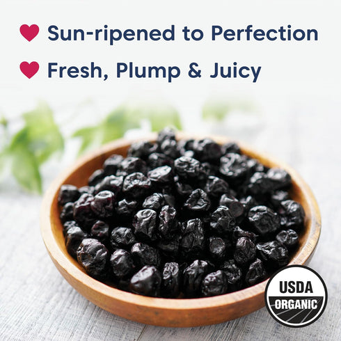 (2 32 Wilderness Poets, Organic Oregon Blueberries (Sweetened with Organic Apples) - Whole Dried Fruit Pound - Ounce)