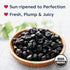 (2 32 Wilderness Poets, Organic Oregon Blueberries (Sweetened with Organic Apples) - Whole Dried Fruit Pound - Ounce)