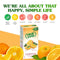 TRUE ORANGE Water Enhancer, Bulk Dispenser Pack - 100 Count | Zero Calorie Flavoring for Water & Recipes