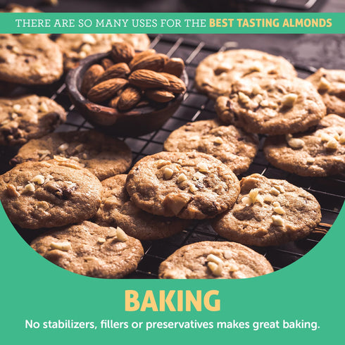 100% (16 Pack 1) Crazy Richard's All-Natural Creamy Dry Roasted Almond Butter with No Added Sugar and Non-GMO Ounce