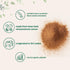2 lb Organic Ceylon Cinnamon Powder, | Premium Sri Lanka Source | Sweet & Earthy Flavor | Great for Baking, Cooking