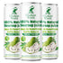ELEPHANT WORLD 100% Natural Soursop Guanabana Juice 10.8 oz (Pack of 6), Soursop