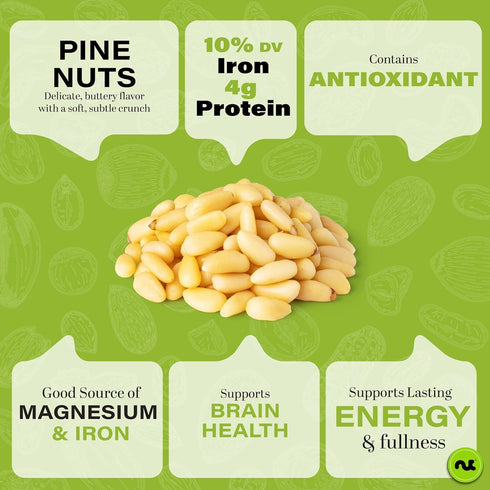 (16oz 1 LB) Packed NUT CRAVINGS - Raw Pine Nuts Pignolias, Unsalted, Shelled, - Fresh in Resealable Bag - Kosher