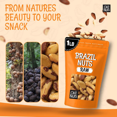 100% 1 lb Packed Oh! Nuts Brazil Nuts - Raw - Natural - - Whole Shelled Premium Brazil Nuts - in New York Zip-Seal Bag