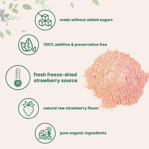 1 Lb 100% Organic Strawberry Powder, | Natural Fruit Powder | Freeze-Dried Strawberries Source | No Sugar & Additives |
