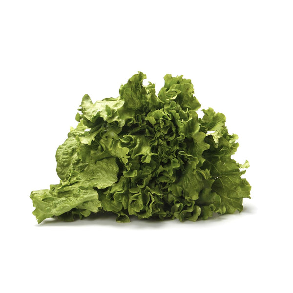 Fresh Produce Lettuce Green Leaf Organic, 1 Each