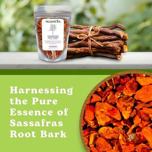 Albidum Packed -1oz Nelsons Tea - Sassafras Root Bark Cut & Sifted - Caffeine Free - Premium Sassafras Aroma - Freshly