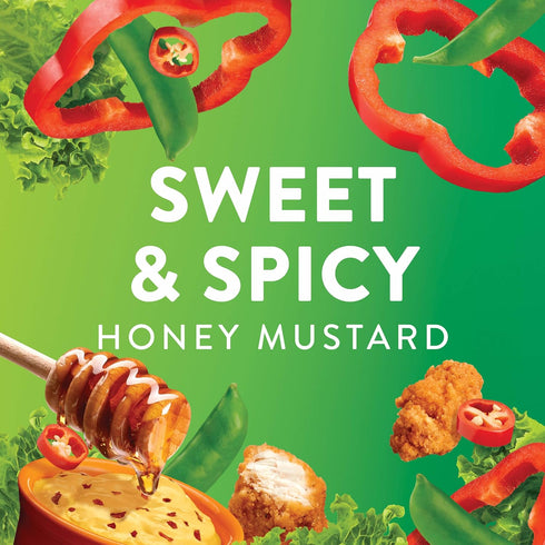 Wish-Bone 15 oz (Pack 2) Salad Dressing, Sweet & Spicy Honey Mustard