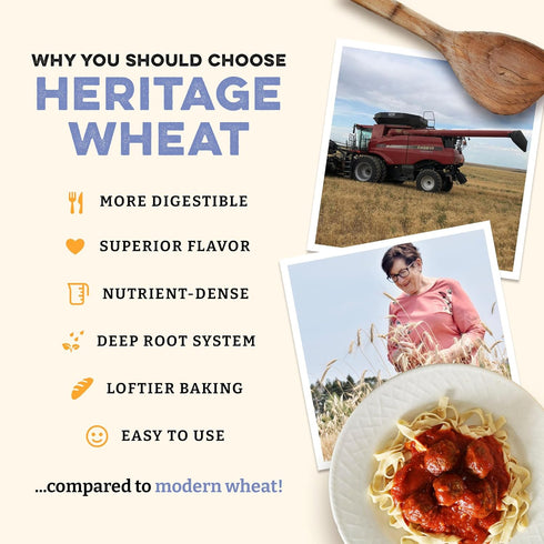 2 lbs Sunrise Flour Mill USDA Organic Heritage Pasta Flour - | Milled from Hard Red Wheat | Easier to Digest with Less