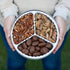 3 lb Heaton Pecans Milk Chocolate Covered, Roasted & Praline Glazed Pecan Halves, Christmas, Thanksgiving, Candied