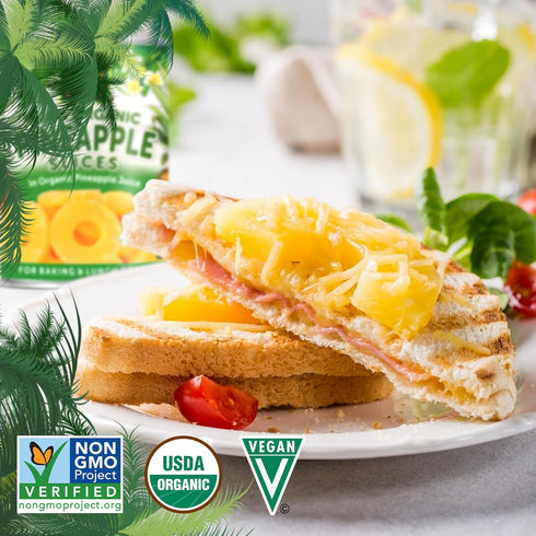 15 (Pack 6) Native Forest Pineapple Slices - Pineapple Canned, Pineapple Organic, Canned Fruit No Sugar Added, Organic