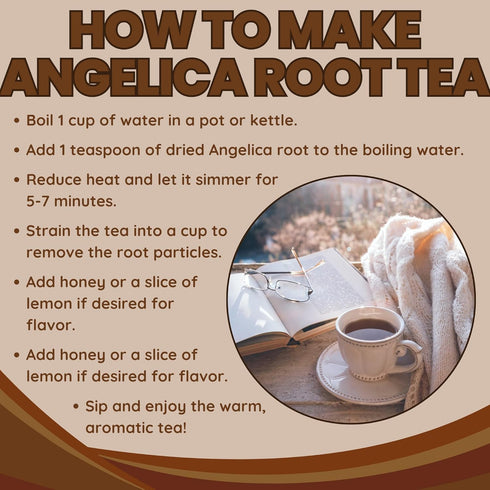 3.5 oz Herbs Botanica Angelica Root Loose Cut and Sifted Angel of Herbs Angelica Archangelica Angelica Herb for Herbal