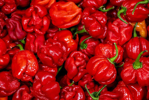 2.5 oz HEPPS Salt Co. Scorpion Sea Salt Our Hottest Salt Ever Ultra-Hot Finishing Salt with Real Trinidad Scorpion