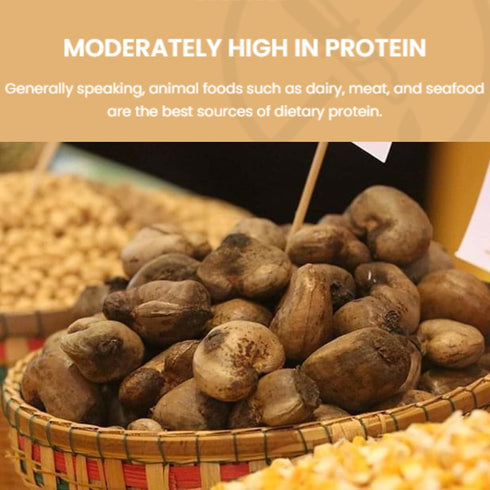 SANO 2lbs (32oz) Pack, Raw Cashew Pieces Organic Cashews Nuts, Fresh Unsalted cashew in Resealable No Salt Cashews