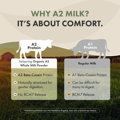 A2 A2 17.4 oz (15 Dr. Mercola Solspring Organic Dry Whole Milk - Powdered Milk with Beta-Casein for Less Digestive