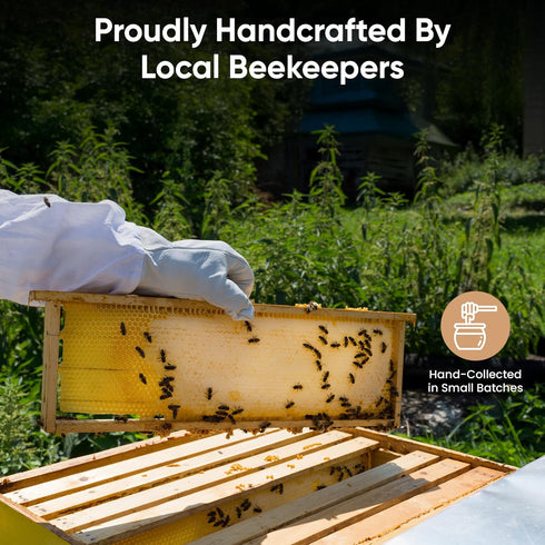 16oz Hammock Raw Honey Organic Unfiltered, Pouch - Unpasteurized Hardwood Natural Raw Honey by Islamorada Company