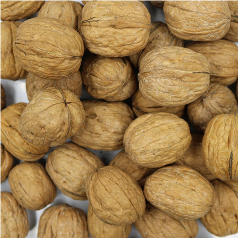 Smarty Stop (5 (Pack 1)) Raw Walnuts in Shell Pound
