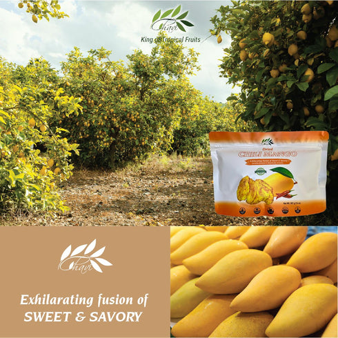 14 oz CHAVI Dried Chili Mango | | No Added Sugars | Naturally Sweet | Healthy sinple Ingredients Superfood - Family