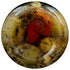 12 Oz Jeff's Garden, Olive Antipasto Spicy Italian, Fl