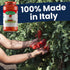 24 oz, La San Marzano Tomato Basil Sauce, Pasta Sauce Made in Italy, All Purpose Tomato Premium Quality, All Natural