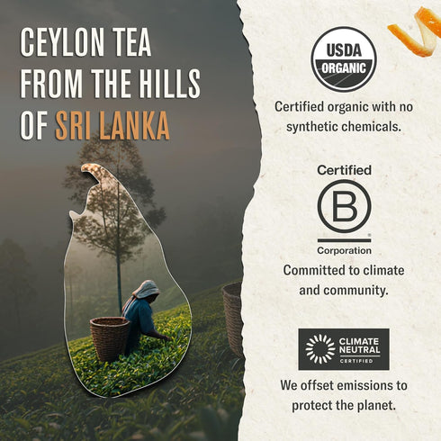 100 Numi Organic Breakfast Blend Tea | Black Tea Bags | Assam, Ceylon & Darjeeling Black Teas | Caffeinated