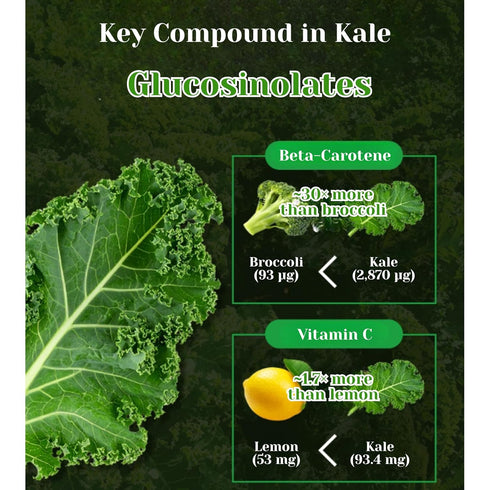 Packs 100% Packed, Pure Curly Kale Powder Stick Freeze-Dried Kale, Kale Powder, No Artificial Colors or Flavors