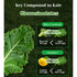 Packs 100% Packed, Pure Curly Kale Powder Stick Freeze-Dried Kale, Kale Powder, No Artificial Colors or Flavors