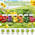 Set 6 Yellow,3g/Jar Natural Food Coloring Powder - Colors Water Based Vivid Powder Food Color Dye, No Artifical