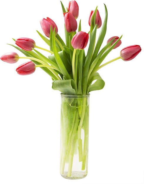 KaBloom Red Tulips - 10 Stems with Vase. Mother's Day Collection. Free