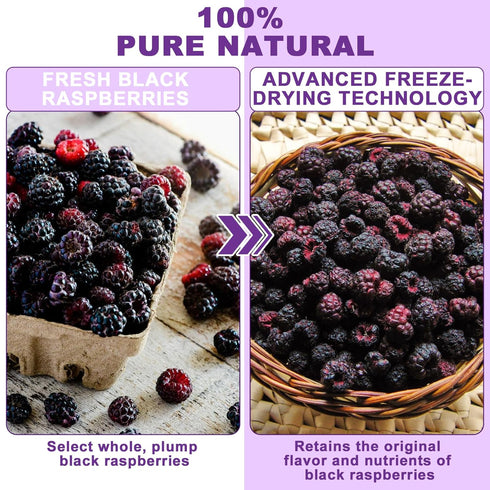 6.5 OZ 100% Freeze Dried Black Raspberry Powder - Super Fruit Powder, Black Raspberry Extract, No Additive, No
