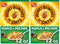 Post Honey Bunches of Oats Maple and Pecans Breakfast Cereal, Honey Oats