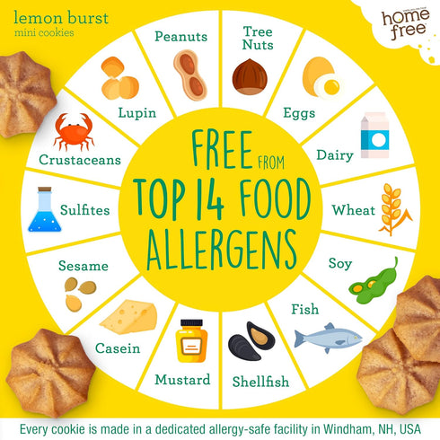 5 Oz (Pack 1), Homefree Mini Lemon Burst Cookies, Gluten Free, Nut Free, Vegan, School Safe and Allergy Friendly
