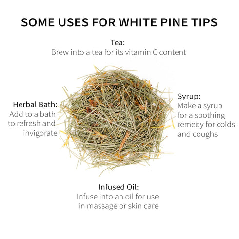 6.0 oz 85 White Pine Needle Tea, Wild-Harvested in Wisconsin | | Servings | Loose Leaf | Herbal Tea & Medicinal Herbs |