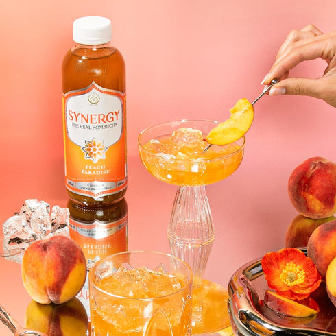 16 oz Immune SYNERGY The Real Kombucha - Peach Paradise - fl Bottle - Raw Probiotic Drink for Gut Health and Support