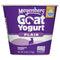 Meyenberg, Plain Goat Milk Yogurt, 6 Ounce