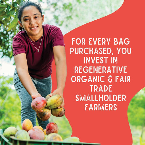 6oz Pack (2 SOL SIMPLE Organic Dried Mango | Snack Bags Total) | One Ingredient | Vegan | Non-GMO | No Added Sugar |