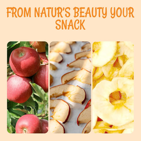 26 oz Oh! Nuts Dried Apple Rings - Apple Slices - - Dried Apples - No Sugar Added - Dehydrated Fruit Bites