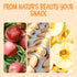 26 oz Oh! Nuts Dried Apple Rings - Apple Slices - - Dried Apples - No Sugar Added - Dehydrated Fruit Bites