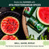 (1pk, 0.7oz) Afia - Dried Mint Seasoning | Dried Mint for Cooking, Mediterranean Pantry Spice for Middle Eastern