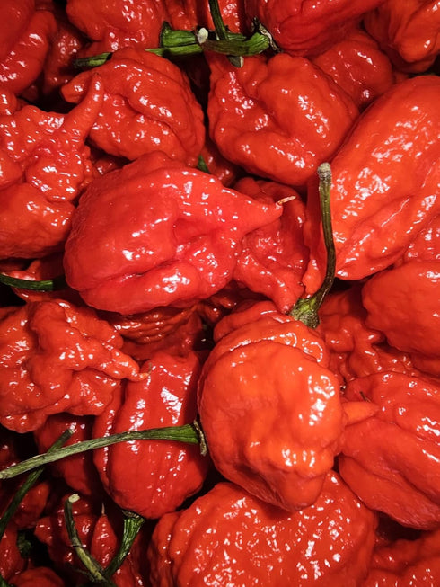 Generic Zozoma 2 B6, Packed Farms Pounds Fresh Red Carolina Reaper Peppers. Contains vitamins A, C, and potassium.