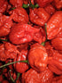 Generic Zozoma 2 B6, Packed Farms Pounds Fresh Red Carolina Reaper Peppers. Contains vitamins A, C, and potassium.