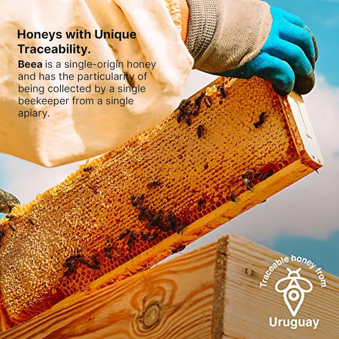 100% 2 8 (2 8 oz) BEEA Premium Raw Uruguayan Prairie Honey | Light Amber & Mild Flavor | Pure, Organic, Unfiltered