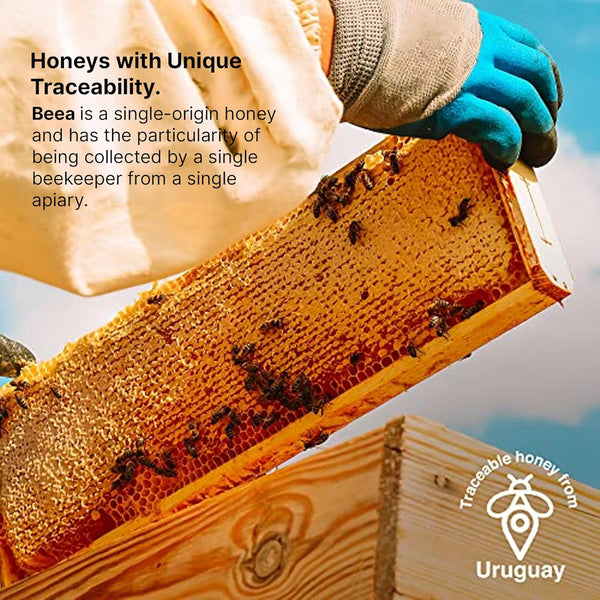 100% 2 8 (2 8 oz) BEEA Premium Raw Uruguayan Prairie Honey | Light Amber & Mild Flavor | Pure, Organic, Unfiltered