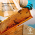 100% 2 8 (2 8 oz) BEEA Premium Raw Uruguayan Prairie Honey | Light Amber & Mild Flavor | Pure, Organic, Unfiltered