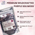 Purple Sea Moss – 4oz, 100% Wildcrafted from Saint Lucia Raw and Dried Vegan Superfood with 90+ Minerals, Non-GMO
