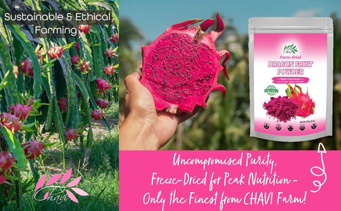 8 Oz CHAVI Freeze-Dried Dragon Fruit Powder - - (Pink Pitaya/Pitahaya), For Shakes, Baking & Smoothie, No Added Sugars