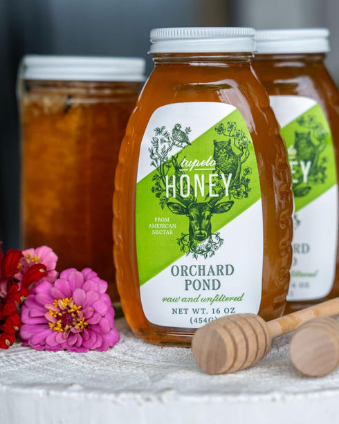 100% 12oz Orchard Pond Tupelo Honey - Rare Harvest from White Ogeechee Tupelo Trees, Handcrafted in North Florida, Pure