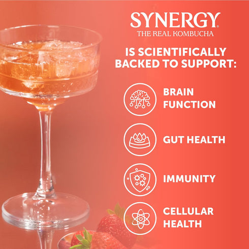 16 oz Immune SYNERGY The Real Kombucha - Strawberry Serenity - fl Bottle - Raw Probiotic Drink for Gut Health