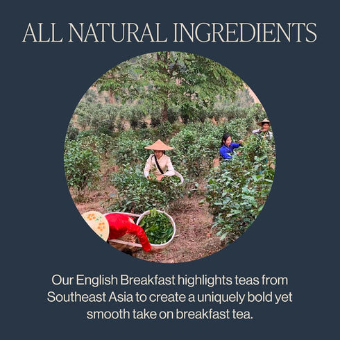 4 11+ Rishi Tea English Breakfast Tea - Organic Loose Leaf Pure Black Tea, Energizing & Caffeinated, Ideal for Hot